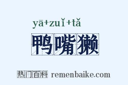 鸭嘴獭是什么意思的图片